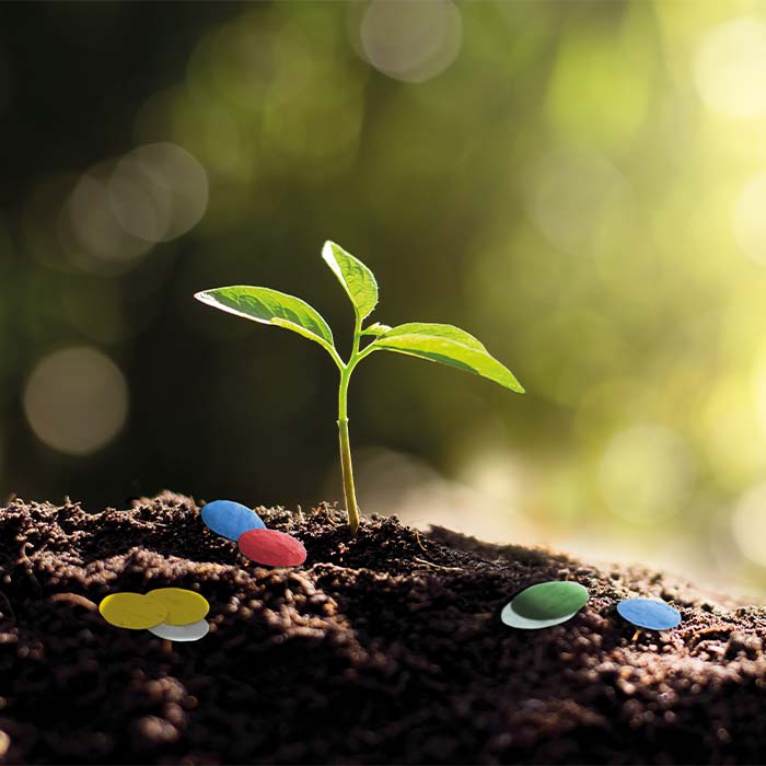 Graines et papier semences - MG6904 publicitaire personnalisé - vue 2