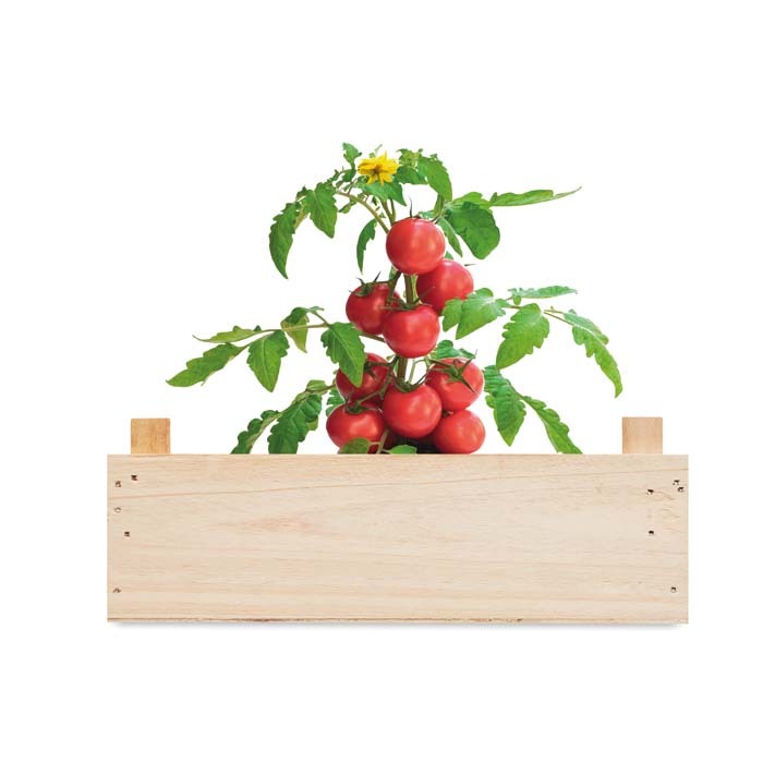 YC6498 Bonbons et menthes personnalisé publicitaire personnalisé - vue 3