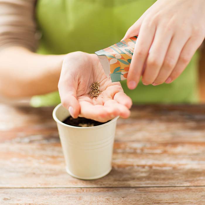 YC6501 Enveloppe en papier kraft avec les graines de votre choix. publicitaire personnalisé - vue 3