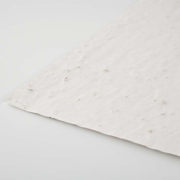 YC6916 Papier semences de format A6 avec votre motif imprimé (image photo). publicitaire personnalisé - vue 5